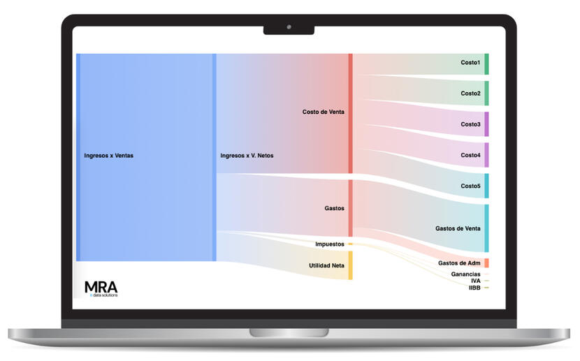 Income Statement Visualization